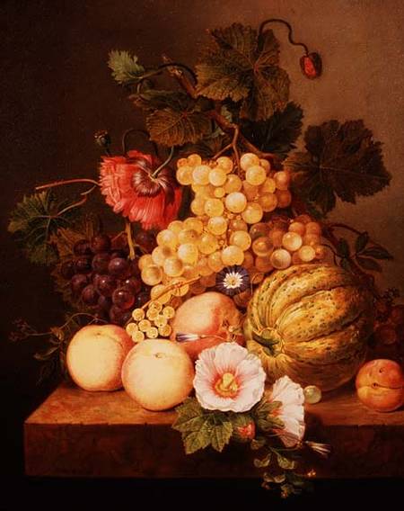 Still life with fruit od Johannes Cornelis Bruyn