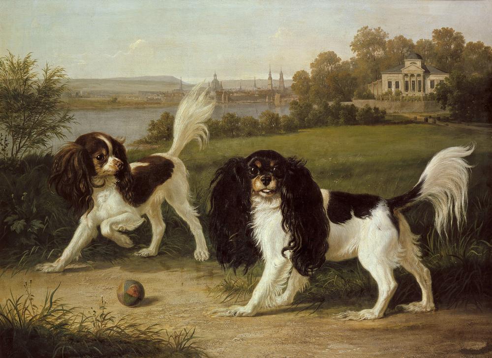 Zwei King-Charles-Hunde vor Dresden od Johann Friedrich Wilhelm Wegener