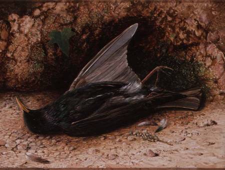 Starling od John Atkinson Grimshaw