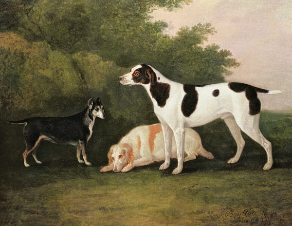 Three Dogs in a Landscape od John Boultbee