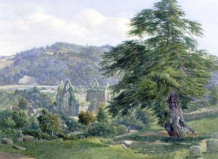 Tintern Abbey with the Wye Beyond od John Chase