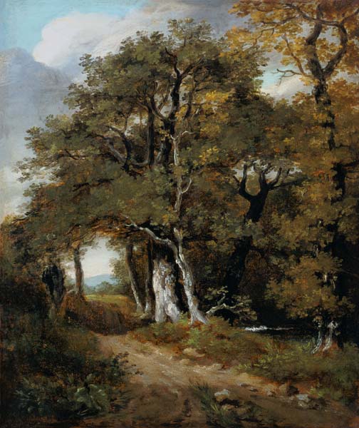 J.Constable, A Woodland Scene, c.1801. od John Constable