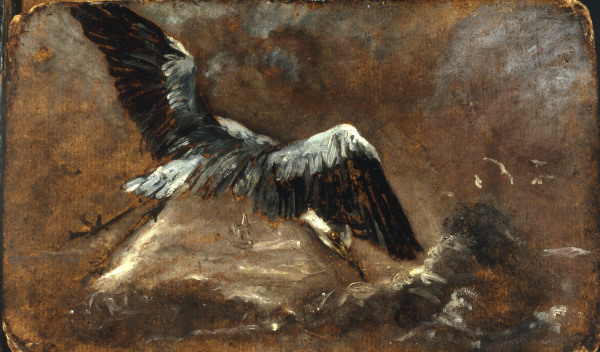 J.Constable, Study of a Heron. od John Constable