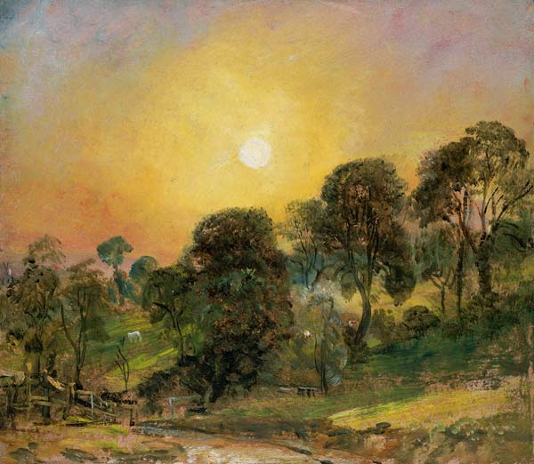 Trees on Hampstead Heath at Sunset (oil on paper) od John Constable