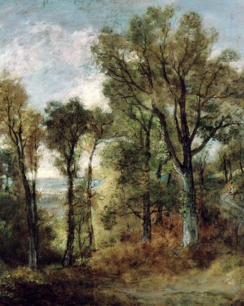 Woodland View in Suffolk od John Constable