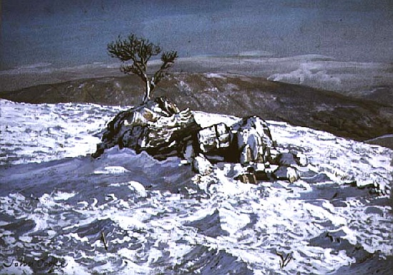 Barbondale Tree, Barbon, nr Kirby Lonsdale, Cumbria od John  Cooke