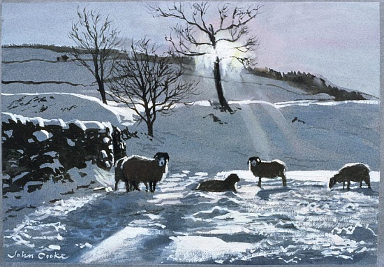 Winter Afternoon at Dentdale od John  Cooke