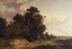 Landscape Scene in Norfolk