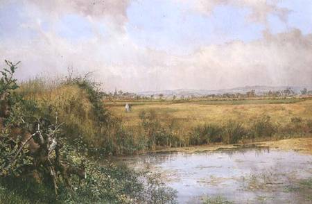 A View near Sefton, Lancashire od John Edward Newton