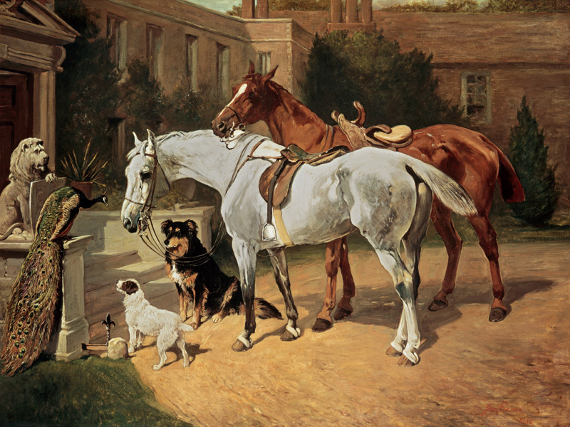 Horses and Dogs od John Emms