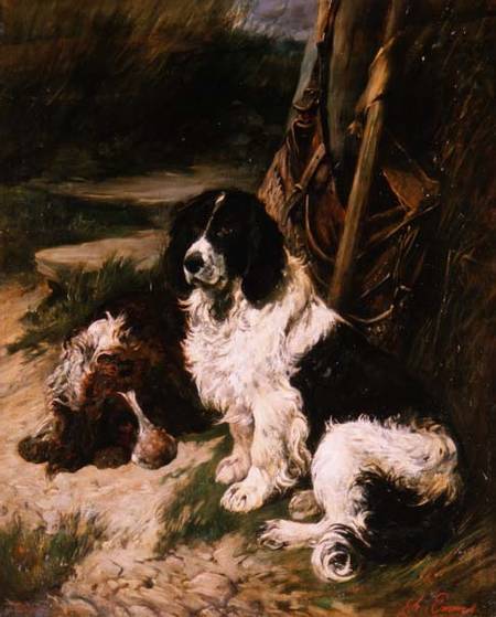 Brown and White and Black and White Spaniel od John Emms