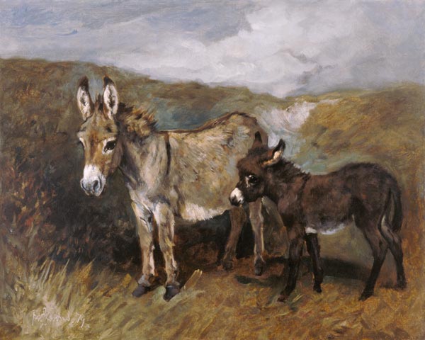 Donkeys out on the Moor od John Emms