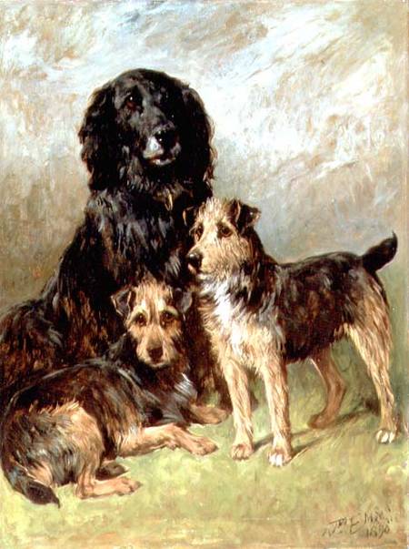 Family Pets od John Emms