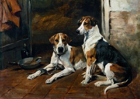 Hounds in a Stable Interior