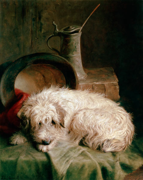 A Terrier od John Fitz Marshall