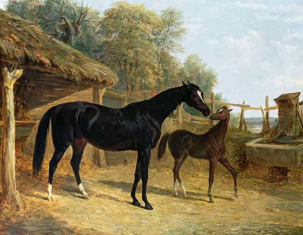 Levity, the property of J.C.Cockerill Esq., with her foal Queen Elizabeth, the property of Lord Dorc od John Frederick Herring d.Ä.