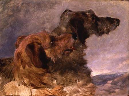 Two Deerhounds od John Frederick Herring d.Ä.
