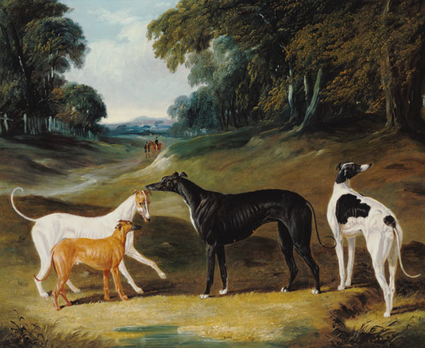 Greyhounds, 'Spot', 'Skylark', 'Nettle' and 'Sky' od John Frederick Herring d.Ä.
