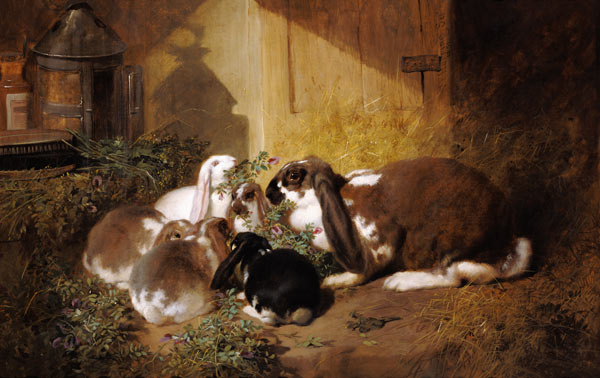 Rabbit family od John Frederick Herring d.Ä.