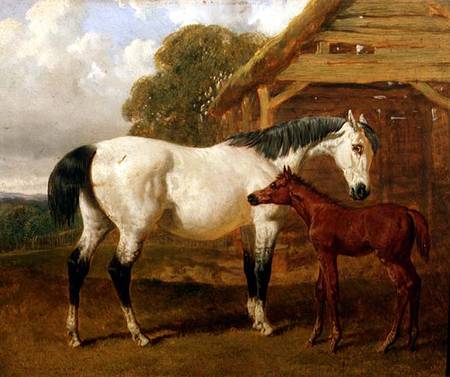 A Mare and Foal before a Barn od John Frederick Herring d.Ä.