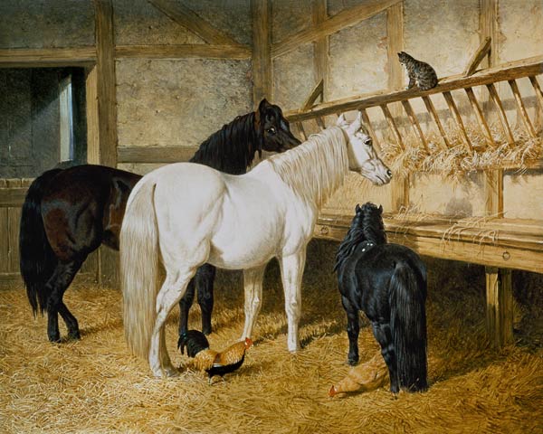 Ponies at the Manger od John Frederick Herring d.Ä.