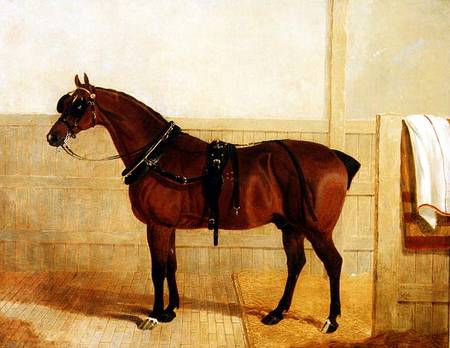 Prize Shire Horse in Harness od John Frederick Herring d.Ä.