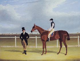 The Hon. E. Petre's 'Rowton', winner of the St. Leger with Bill Scott up