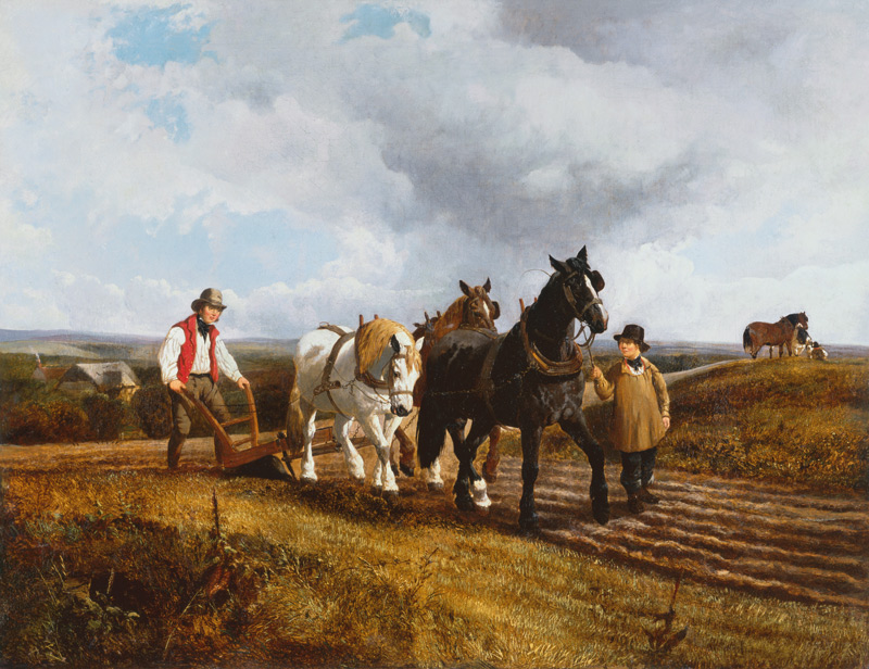 Ploughing od John Frederick Herring d.J.