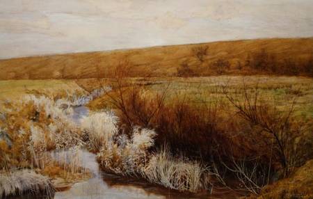 A Meadow in Winter od John George Sowerby