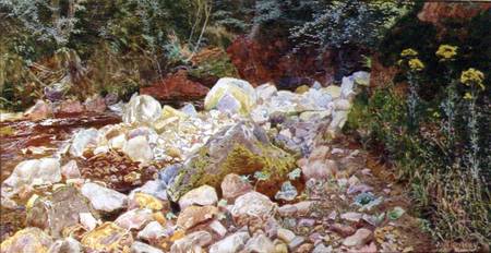 A Rocky Stream od John George Sowerby