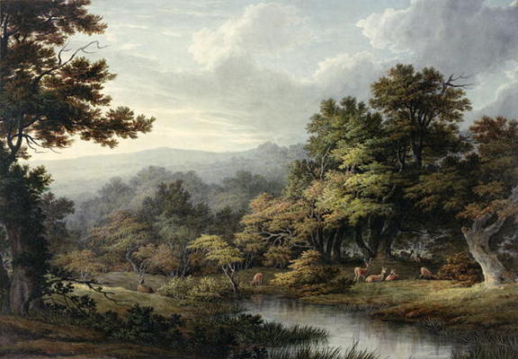 Forest Glade with Pool and Deer (w/c on paper) od John Glover