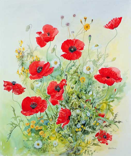 Poppies and Mayweed  od John  Gubbins