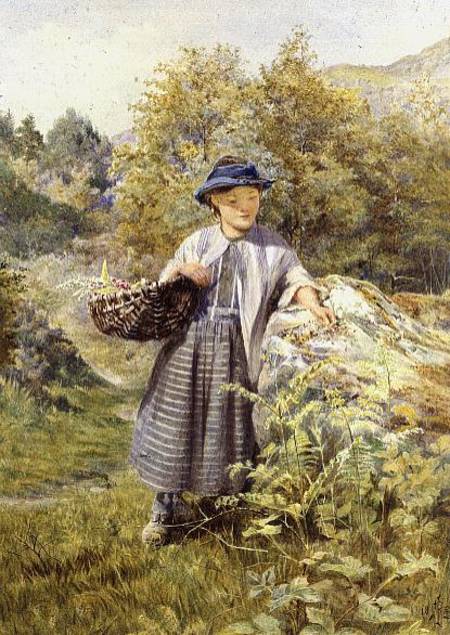 The Young Herbalist od John Isaac Richardson