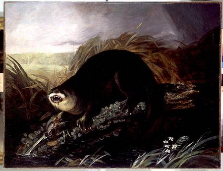 Otter Caught in a Trap od John James Audubon