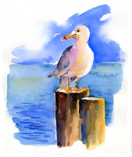 Seagull on dock