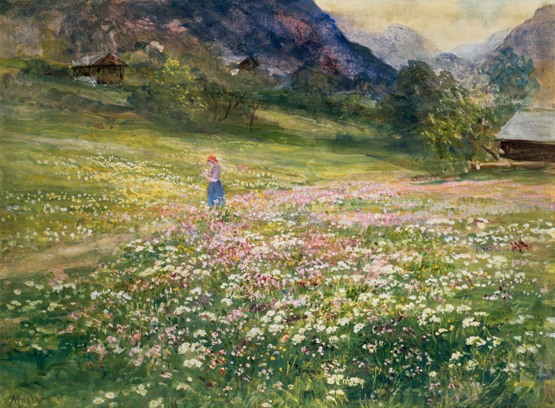 Girl in a Field of Poppies od John MacWhirter
