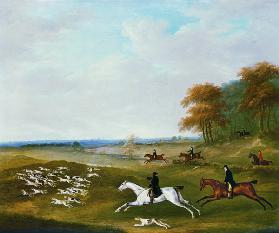 Hunt with Hounds
