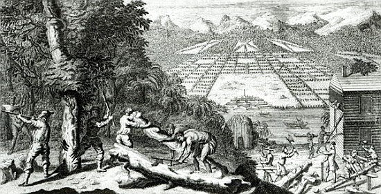Illustration from ''The Reasons for establishing the Colony of Georgia'' Benjamin Martyn (1699-1763) od John Pine