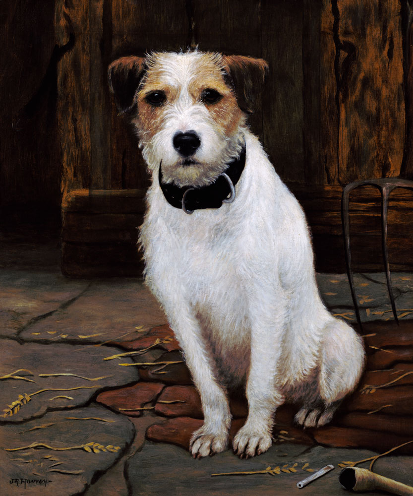 Portrait of Terrier od John Rabone Harvey