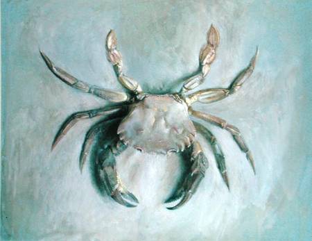Velvet Crab od John Ruskin