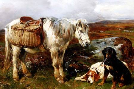 Highland Pony with Dogs od John Sargent Noble