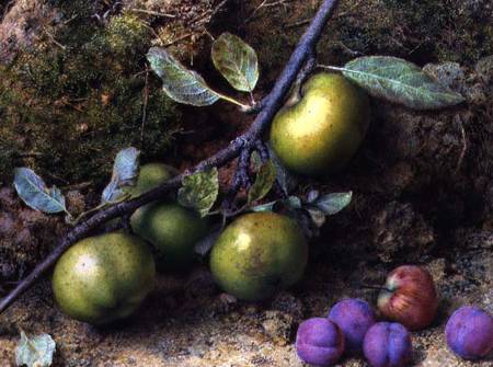 Apples and Plums on a Mossy Bank od John Sherrin