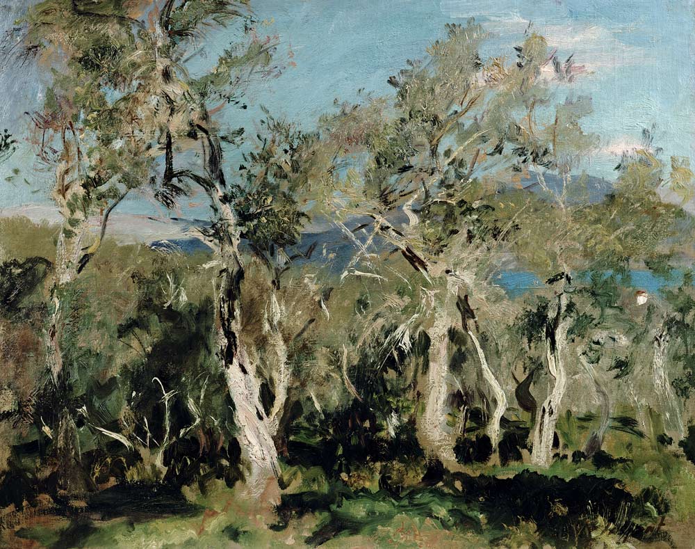 Olives, Corfu od John Singer Sargent