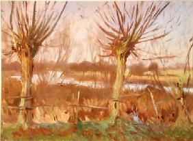 Landscape with Trees, Calcot-on-the-Thames