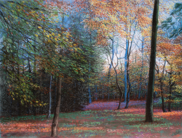 Autumn in the Woods od Margo Starkey
