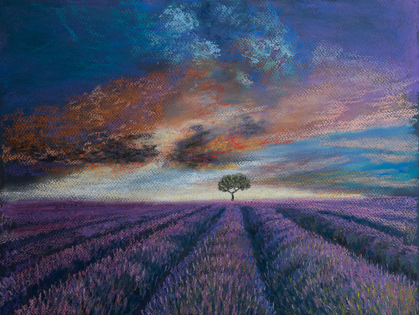 Lavender fields of Normandy od Margo Starkey