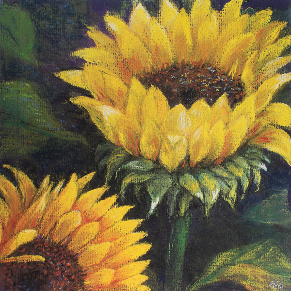 Sunflowers od Margo Starkey