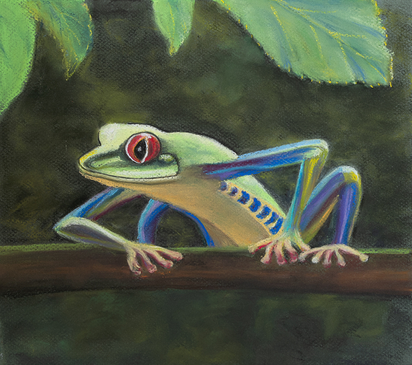 Tree frog od Margo Starkey