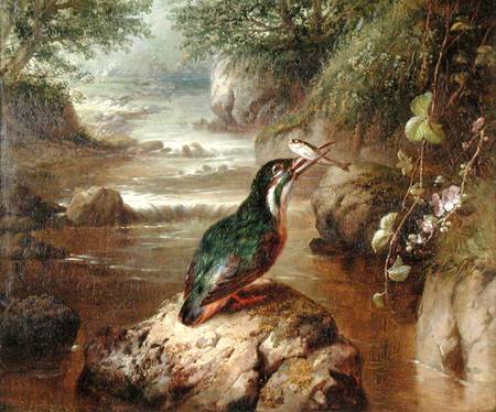 The Haunt of the Kingfisher od John Wainwright