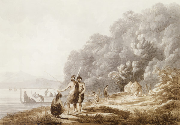 View in Queen Charlotte's Sound, New Zealand, from 'Views in the South Seas', pub. 1790 (etching) od John Webber